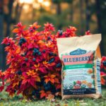 Jaki nawóz jesienny do borówki amerykańskiej