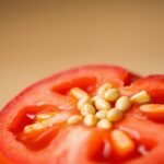 Jak uzyskać nasiona z pomidora