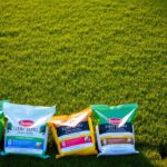 Jaki nawóz na zagęszczenie trawy