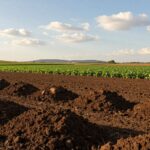 Ile obornika na hektar