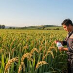 Jaki oprysk na pszenżyto ozime jesienią